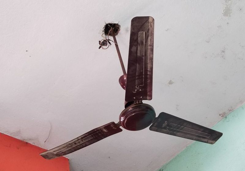 Ceiling Fan Repair in Denver County, CO